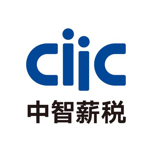 中智薪税技术服务