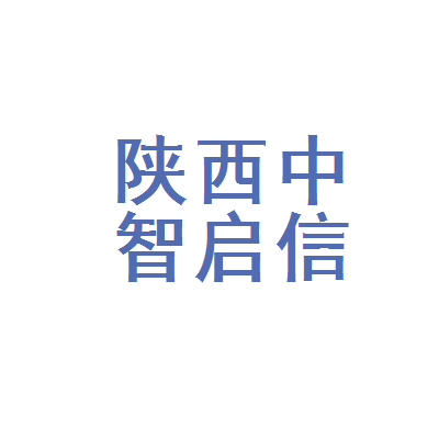 陕西中智启信网络科技